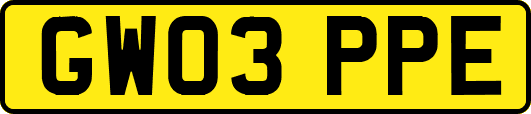 GW03PPE