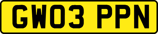 GW03PPN