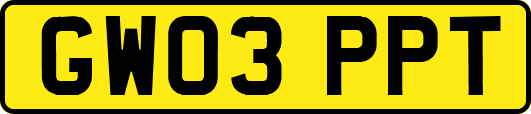 GW03PPT