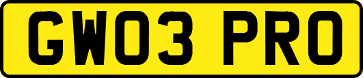 GW03PRO