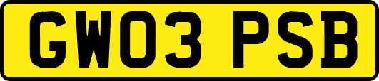 GW03PSB