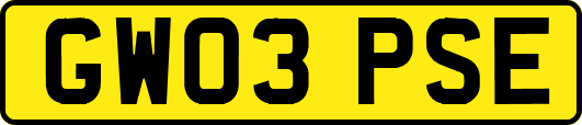 GW03PSE