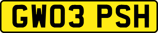 GW03PSH