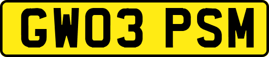 GW03PSM