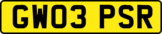 GW03PSR