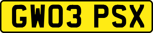 GW03PSX