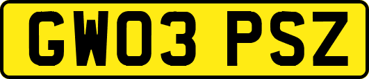 GW03PSZ