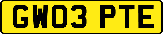 GW03PTE