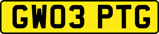 GW03PTG