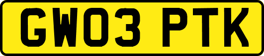 GW03PTK