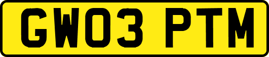 GW03PTM
