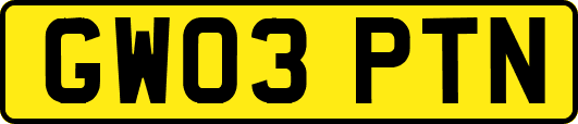 GW03PTN