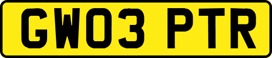 GW03PTR