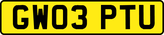 GW03PTU