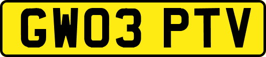 GW03PTV