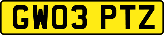 GW03PTZ