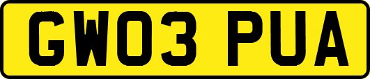 GW03PUA