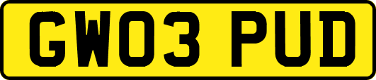 GW03PUD