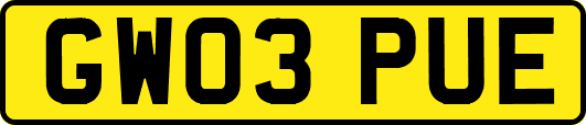GW03PUE