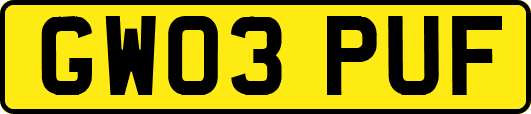 GW03PUF