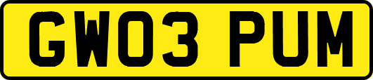 GW03PUM