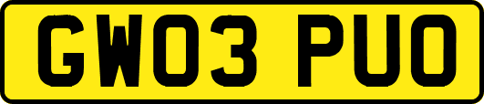 GW03PUO