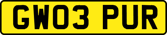 GW03PUR