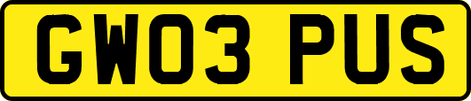 GW03PUS