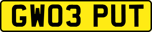 GW03PUT