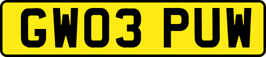 GW03PUW