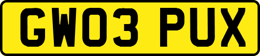 GW03PUX