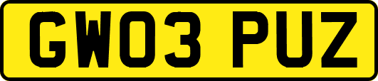 GW03PUZ
