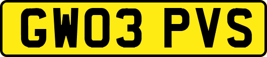 GW03PVS