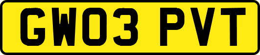 GW03PVT