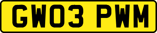 GW03PWM