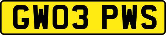 GW03PWS