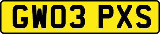 GW03PXS