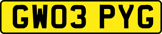 GW03PYG