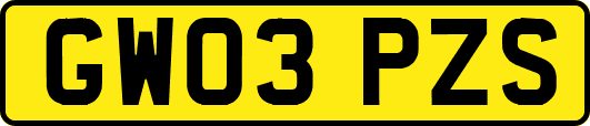 GW03PZS