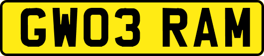 GW03RAM