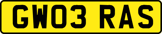 GW03RAS