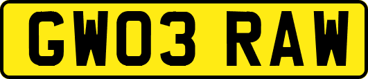 GW03RAW