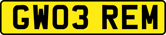 GW03REM