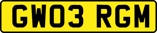 GW03RGM