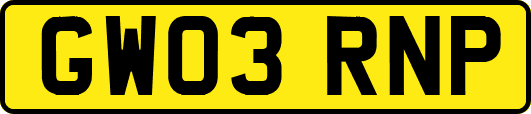 GW03RNP