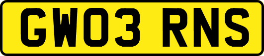 GW03RNS