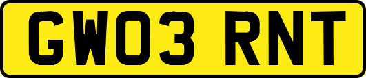 GW03RNT