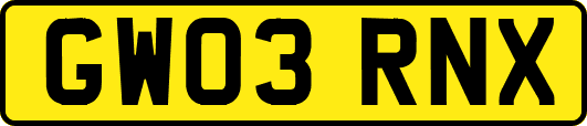 GW03RNX