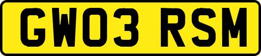 GW03RSM