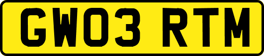 GW03RTM